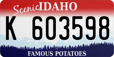 ID license plate K603598