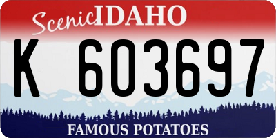 ID license plate K603697
