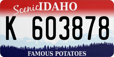 ID license plate K603878