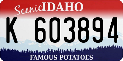 ID license plate K603894
