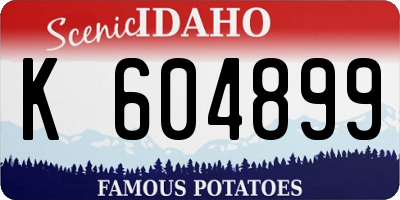 ID license plate K604899