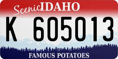 ID license plate K605013