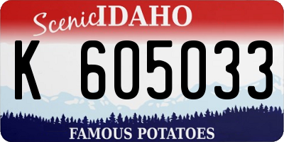 ID license plate K605033