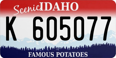 ID license plate K605077