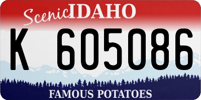 ID license plate K605086
