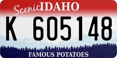 ID license plate K605148