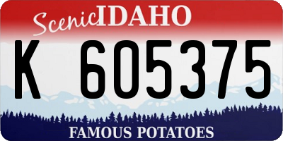 ID license plate K605375