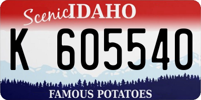 ID license plate K605540