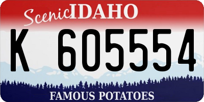 ID license plate K605554