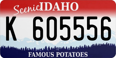 ID license plate K605556
