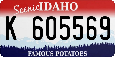ID license plate K605569