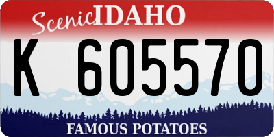ID license plate K605570