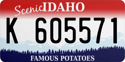 ID license plate K605571