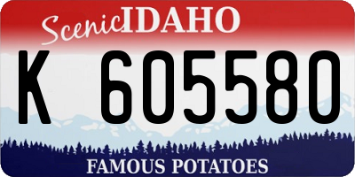 ID license plate K605580