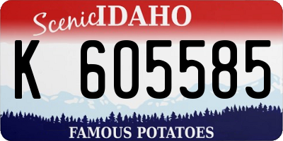 ID license plate K605585