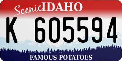 ID license plate K605594