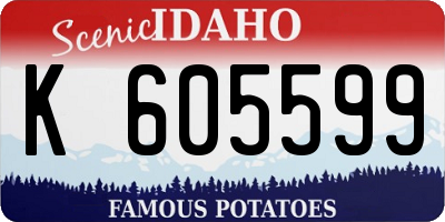 ID license plate K605599