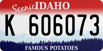 ID license plate K606073