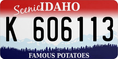 ID license plate K606113