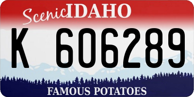 ID license plate K606289