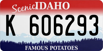 ID license plate K606293