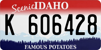 ID license plate K606428