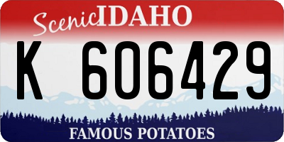 ID license plate K606429