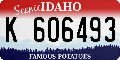 ID license plate K606493