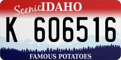 ID license plate K606516