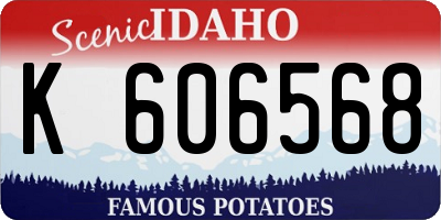 ID license plate K606568