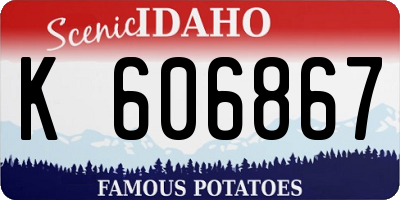ID license plate K606867