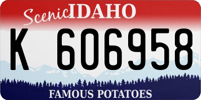 ID license plate K606958