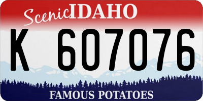 ID license plate K607076