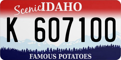 ID license plate K607100