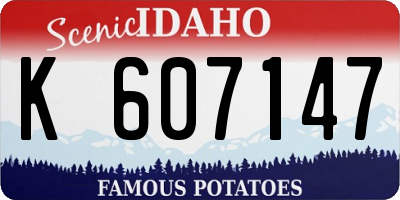 ID license plate K607147