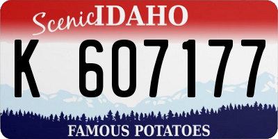 ID license plate K607177
