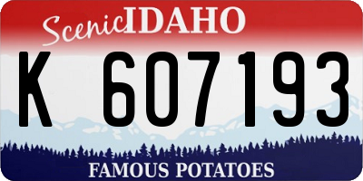 ID license plate K607193