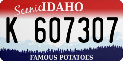 ID license plate K607307