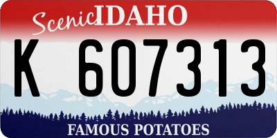 ID license plate K607313