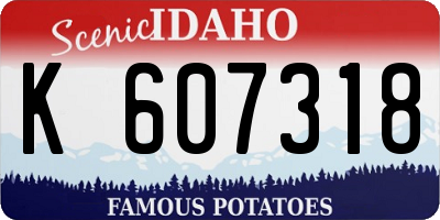 ID license plate K607318