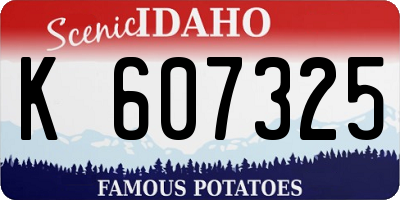 ID license plate K607325