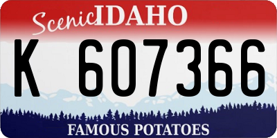 ID license plate K607366