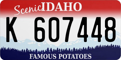 ID license plate K607448