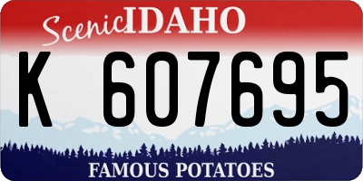 ID license plate K607695