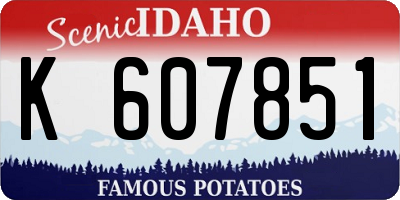 ID license plate K607851