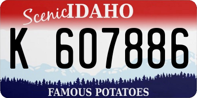 ID license plate K607886