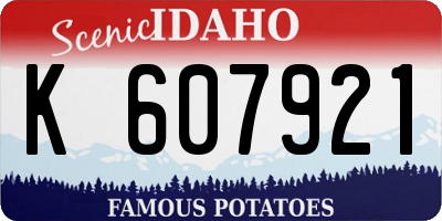 ID license plate K607921