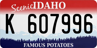 ID license plate K607996