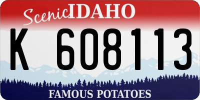 ID license plate K608113