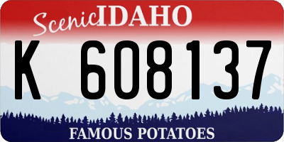 ID license plate K608137
